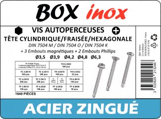 Vis autoperceuses tête cylindrique/fraisée/hexagonale + embouts